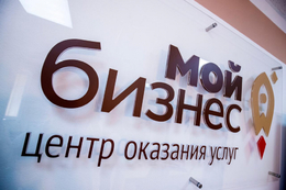 Начинающие и действующие социальные предприниматели Нижегородской области получат бесплатные консультации