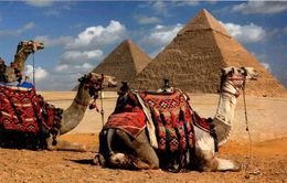 Авиасообщение с Египтом востановлено